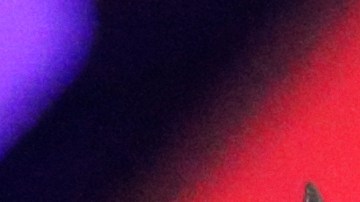 Alejandro Fernández