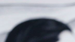 Sheinbaum defiende a Canadá luego de que Trump llamó "gobernador" a Trudeau