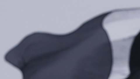 Sheinbaum evalúa otorgar pensión a adultos mayores en EE.UU. y promete protegerlos de deportaciones