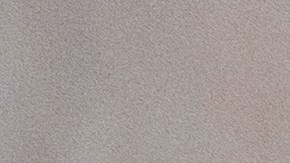 Northwest Naturals retira alimentos para mascotas por posible contaminación