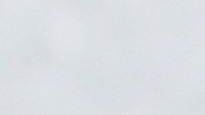 Retiran del mercado comida para perros por posible contaminación de salmonela