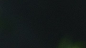 Los 5 productos imprescindibles que los ahorrativos compran en enero