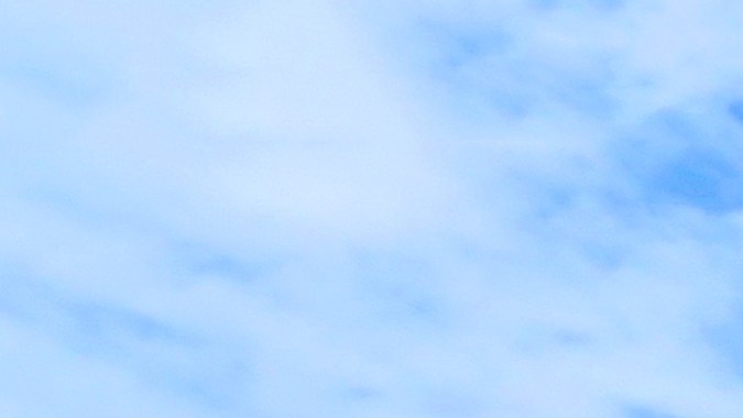 5 artículos esenciales para abastecer en invierno en Costco por menos de $20