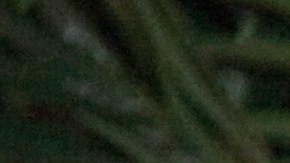 Daddy Yankee anunció su retiro de la música en marzo de 2022, después de más de 30 años de carrera artística.