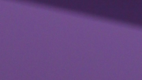 Daddy Yankee y Mireddys González alcanzan un acuerdo en medio de su separación