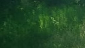 Se insta a cualquier persona que tenga información a llamar a la Policía Estatal de Maine