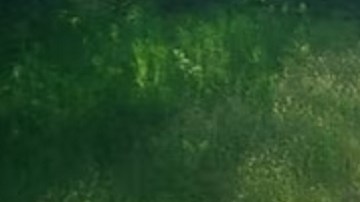 Se insta a cualquier persona que tenga información a llamar a la Policía Estatal de Maine