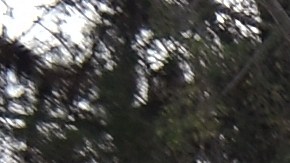 La buena noticia es que las remodelaciones serán por menos de una semana y a principios de diciembre.