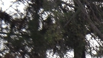 La buena noticia es que las remodelaciones serán por menos de una semana y a principios de diciembre.