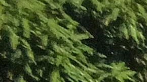 El cargamento de cocaína fue incautado en el Puerto Multimodal Caucedo, en Santo Domingo.