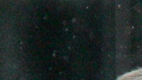 George W. Bush Bill Clinton, George H.W. Bush y el expresidente Jimmy Carter.