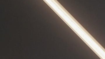 Diego Cocca posa junto al escudo del Valladolid.