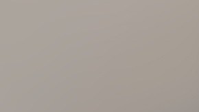 Alvelo está detenida en la cárcel del condado de Osceola sin derecho a fianza.