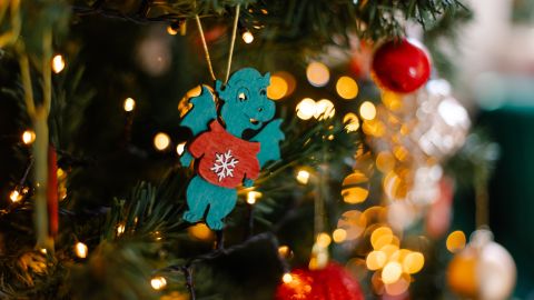 En diciembre comienza a despedirse el Año del Dragón.