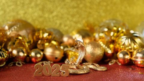 El 2025 es el Año de la Serpiente.