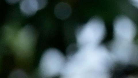 Fiscales responden a indulto de Hunter Biden y rechazan supuesta persecución que acusó Joe Biden