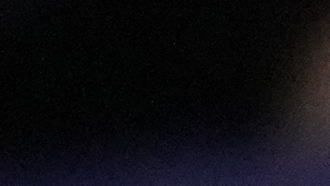 La decisión del presidente Joe Biden llega a tan solo un mes de cumplir su cargo presidencial.