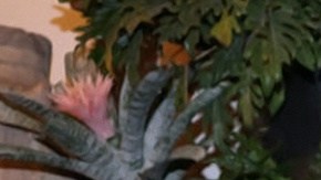 Julián Gil y Valeria Marín