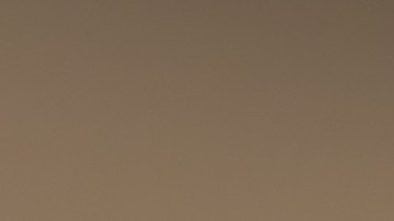 Las hojas de laurel se asocian espiritualmente con el éxito y la buena suerte.