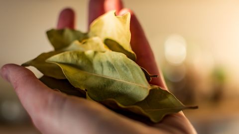 Las hojas de laurel se asocian espiritualmente con el éxito y la buena suerte.