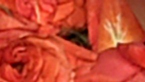 'Malcolm in the Middle'