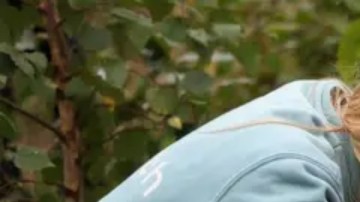 El rol de la comunidad ha sido fundamental para el desarrollo del Método Miyawaki, dentro y fuera de Japón.