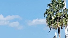 migrantes en la frontera