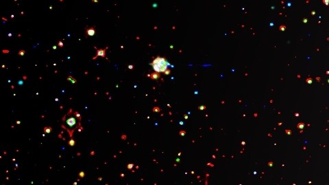 Neptuno es el planeta regente de Piscis.