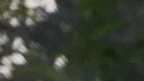 Más de 2,400 niños han muerto o heridos en Ucrania desde la invasión de Rusia en 2022