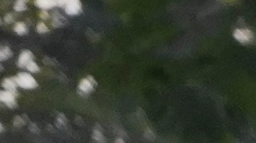 Más de 2,400 niños han muerto o heridos en Ucrania desde la invasión de Rusia en 2022