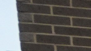 ¿Quién es Luigi Mangione, presunto asesino de un ejecutivo en Nueva York?