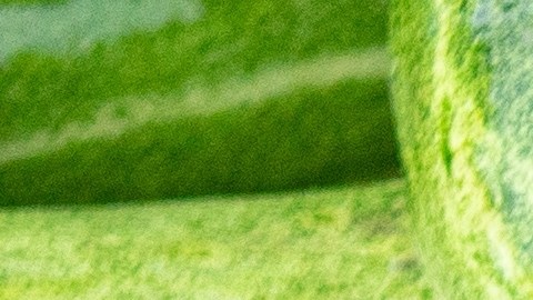 Alerta en Estados Unidos y Canadá por pepinos contaminados con salmonela