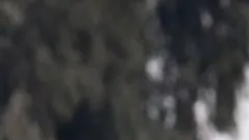 Grupos de rebeldes en Siria.