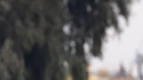 Grupos de rebeldes en Siria.