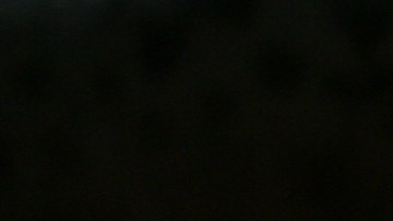 El 31 de diciembre se recuerda a santos que profesaron su fe.