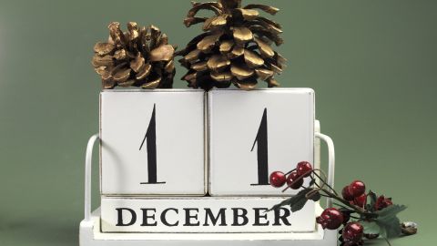 El 11 de diciembre se recuerda el legado espiritual de destacados santos.
