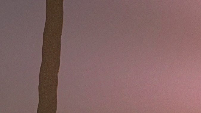 Imagen referencial de lo que algunas personas describen como un Sasquatch.