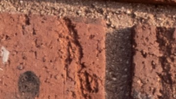 SNAP: Personas en este estado recibirán hasta $517 en beneficios