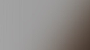 Strickland fue despedida por "participar en conducta adversa cuando fue arrestada por el delito de grado fraudulento, deficiente o ficticio".