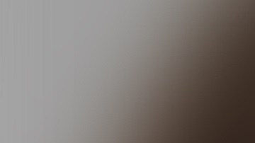 Strickland fue despedida por "participar en conducta adversa cuando fue arrestada por el delito de grado fraudulento, deficiente o ficticio".