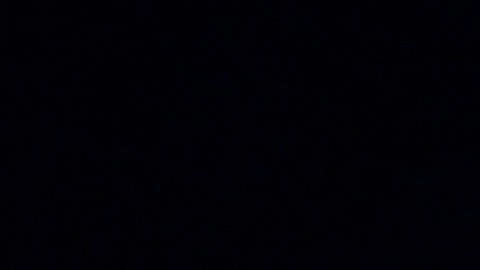 El presidente electo Donald Trump.