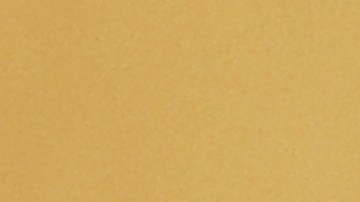 Macron y Trump mantuvieron su apretón de manos mientras posaban para fotos.