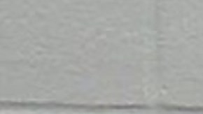 Borgwardt notificó a las autoridades que regresaba y aterrizó en Estados Unidos el martes