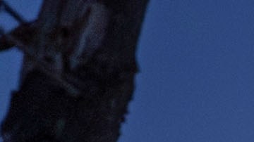 Una escena de "2000 Meters to Andriivka" del ucraniano Mstyslav Chernov.