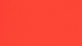 El 2025 es el Año de la Serpiente.