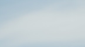 Carlota es una inmigrante de origen mexicano.