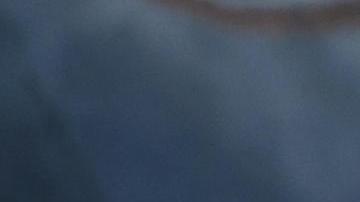 La declaración de Canadá en apoyo a González Urrutia se produce un día antes de la investidura del presidente de Venezuela.