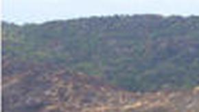 Donald Trump dijo en su discurso de investidura que "China está operando el canal de Panamá" razón por la que dijo Estados Unidos lo va "a recuperar".