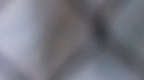 Los agentes de ICE realizan operativos bajo nuevas reglas de Trump.