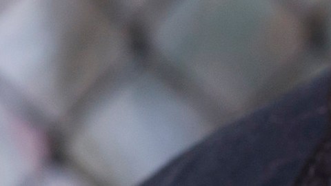 Los agentes de ICE realizan operativos bajo nuevas reglas de Trump.